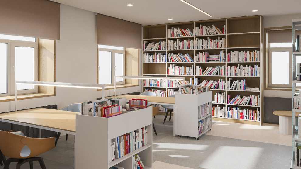 Дизайн-проект Модельной библиотеки в с.Кижинга (Республика Бурятия)