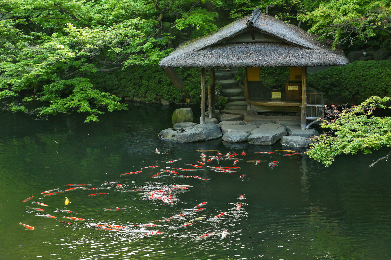 Исторический сад Happoen Garden, Tokyo, Japan