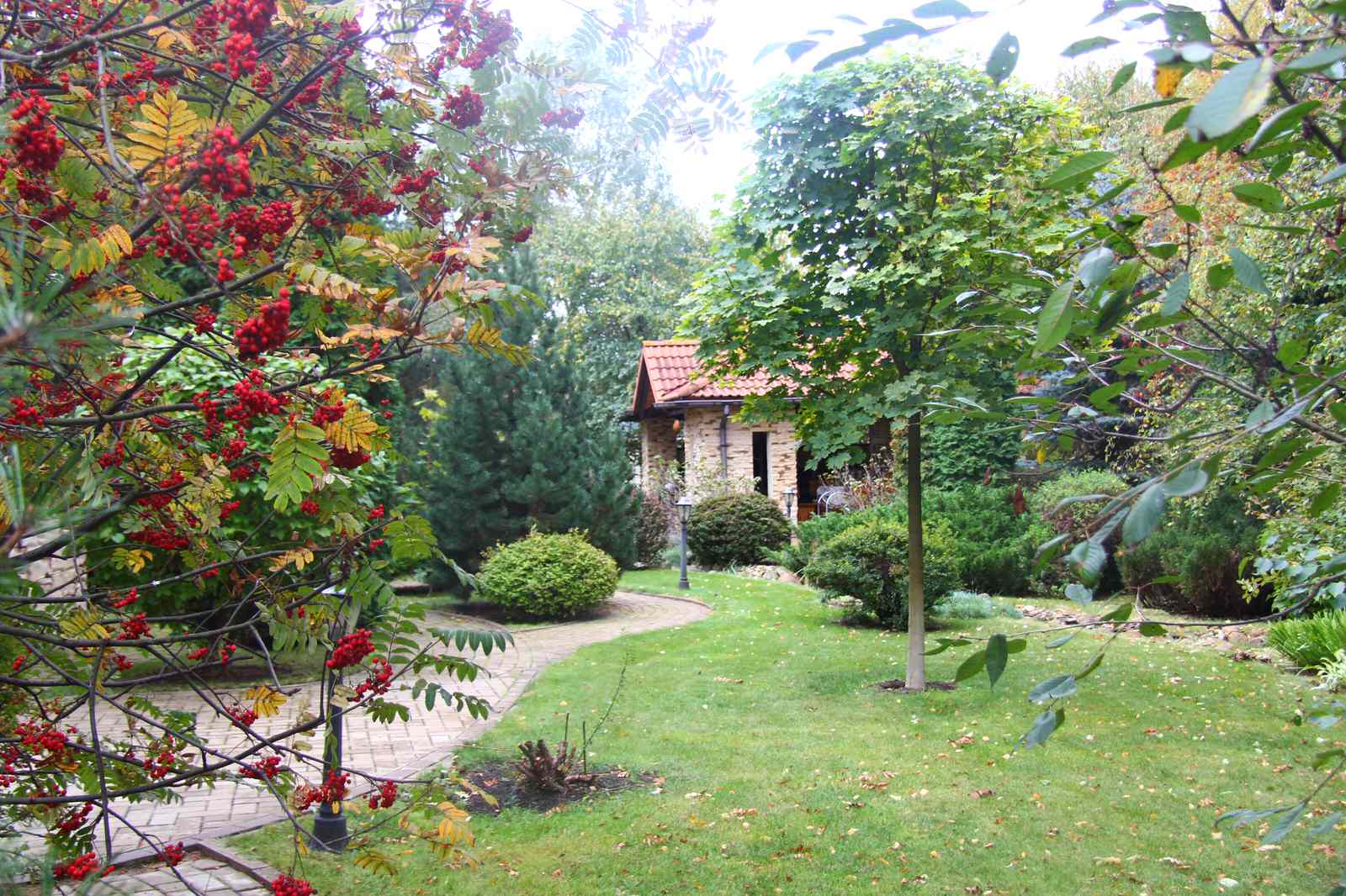 Проект в Новоспасское