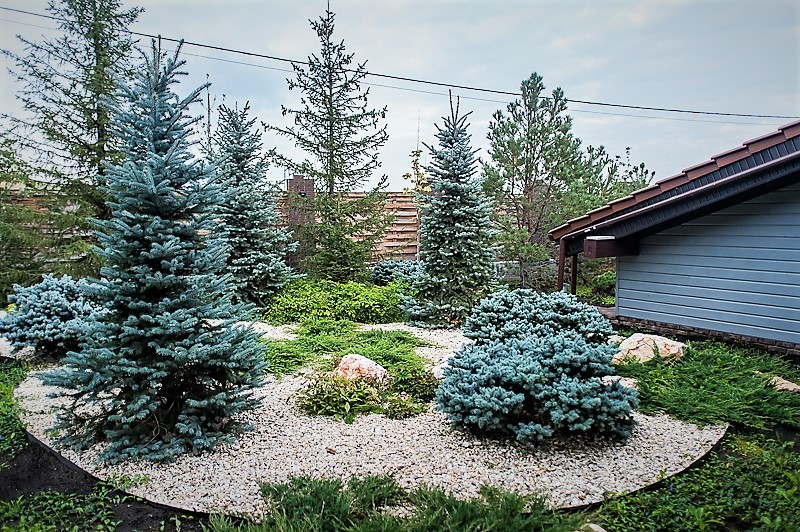 Обложка проекта: Западный 2