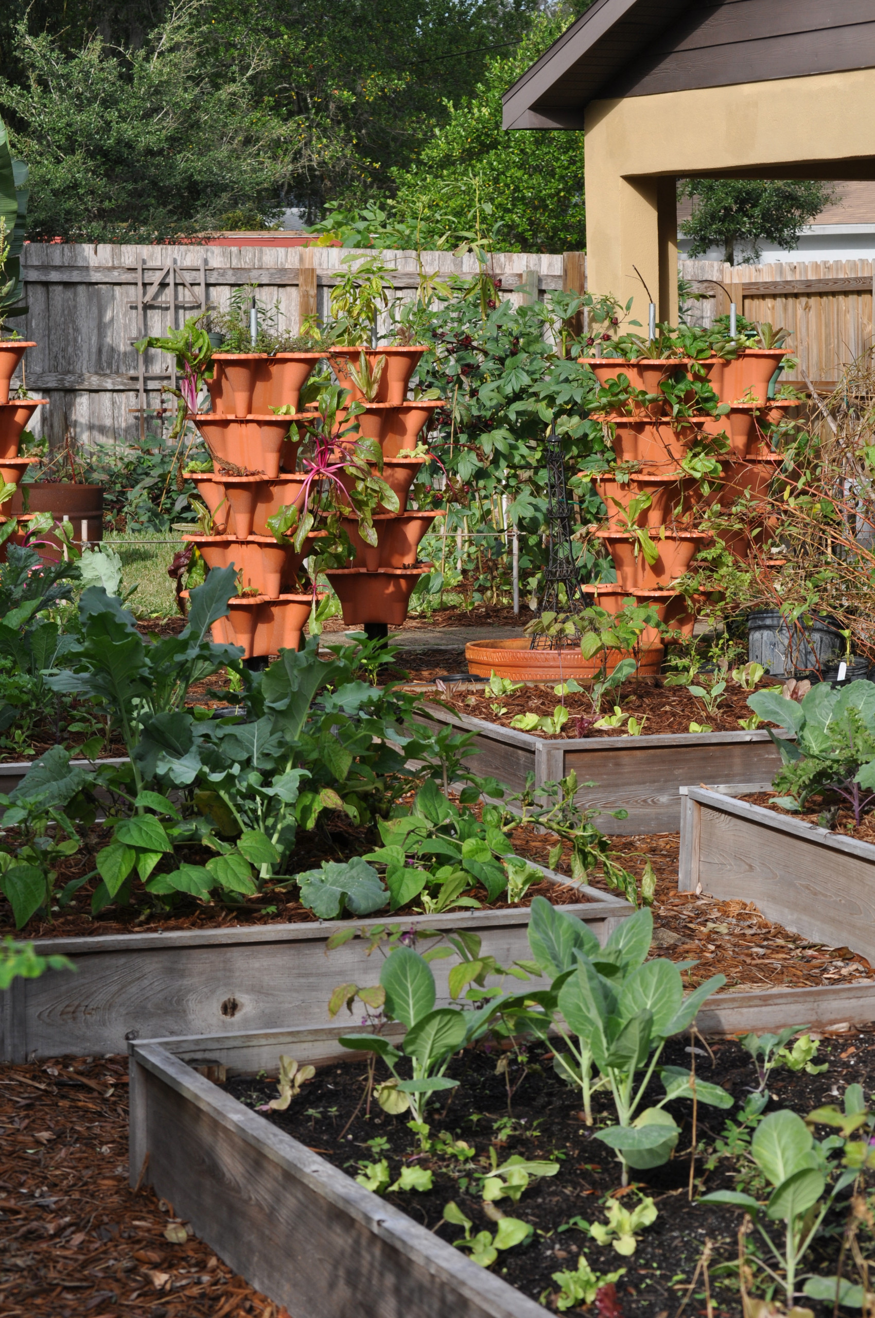Вертикальная клумба: Полное руководство для начинающих и продолжающих