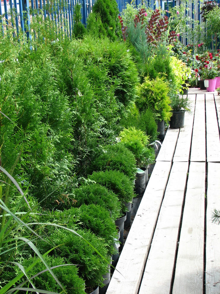 Наша продукция