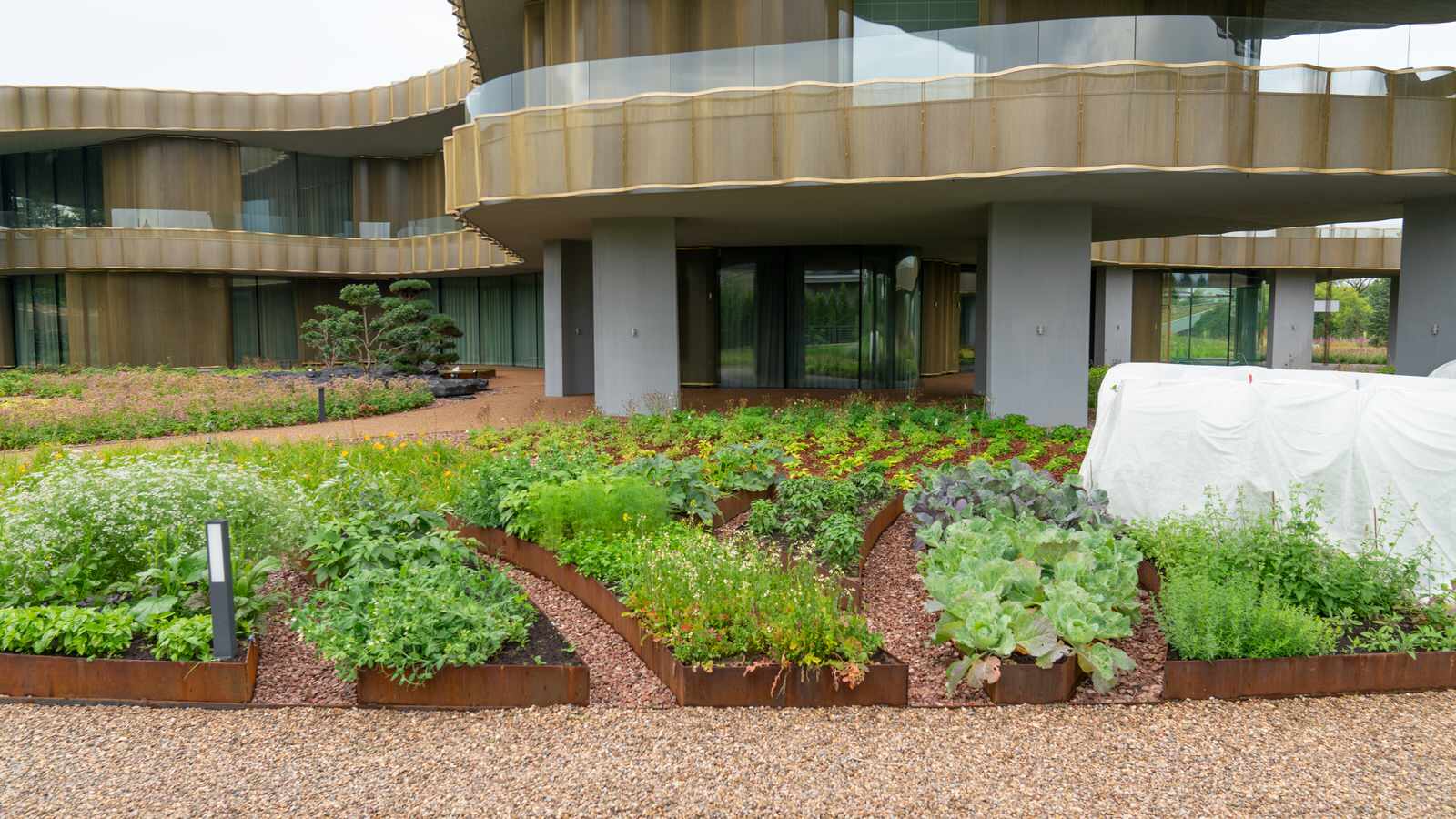 Обложка альбома: Огород и теплица