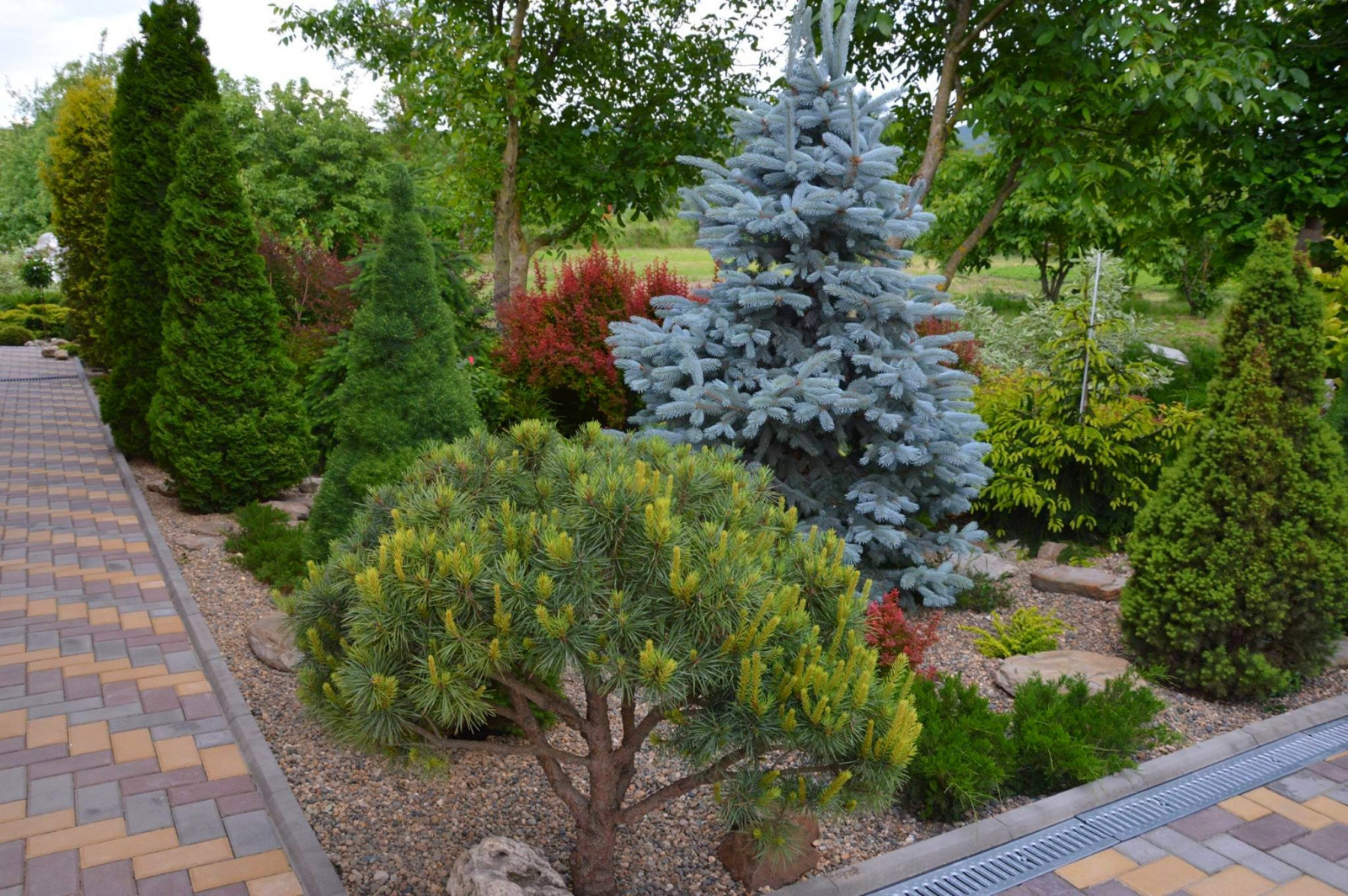 Участок за городом