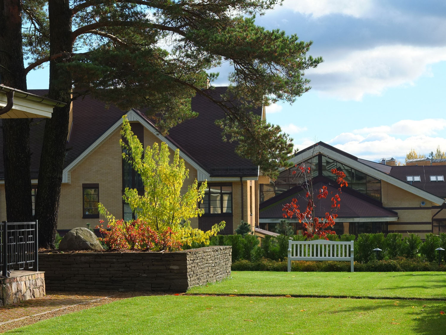 Обложка проекта: Участок со старой сосной