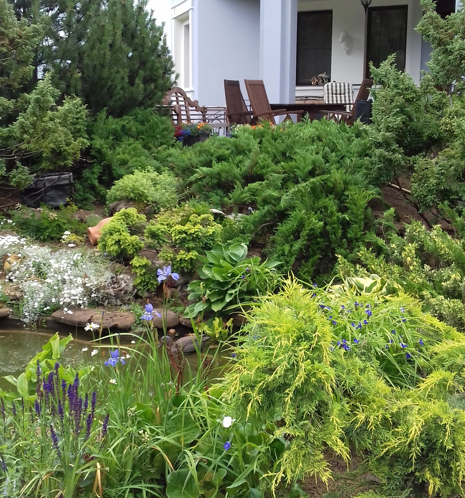 Обложка проекта: Пирогово 2017