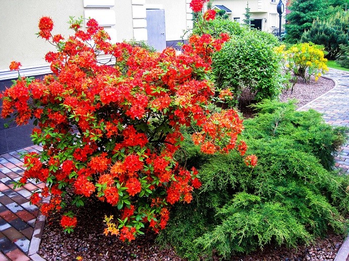 Благоустройство и озеленение