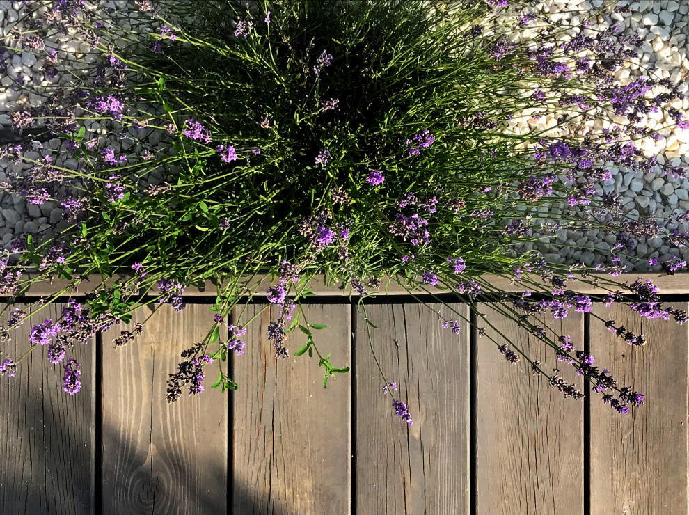 КП Лисавино