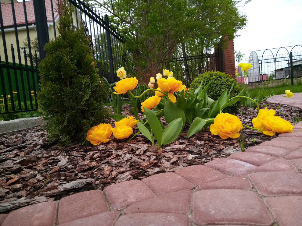 г. Пионерский, Калининградская область