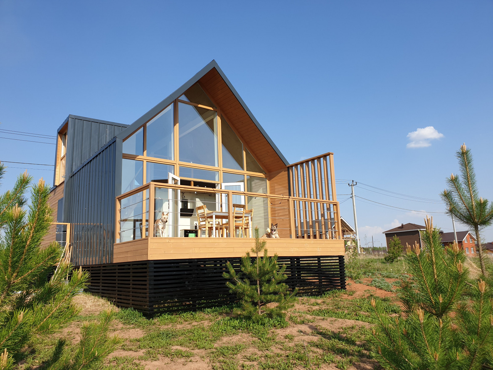 Игорь Полтанов