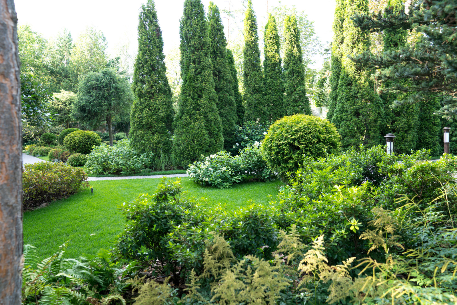 Очарование английского сада КП Балтия 2018 г