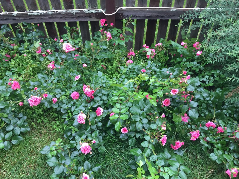 Дом под Рузой