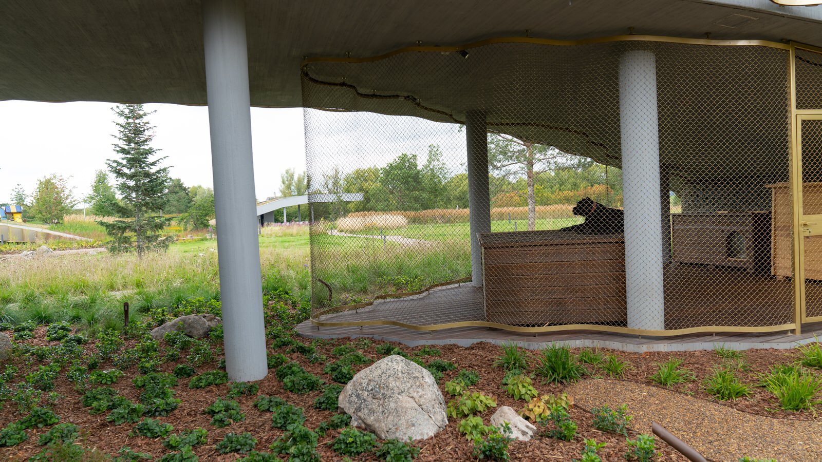 Природный сад. Жуковка XXI век. 2017-2018 гг.