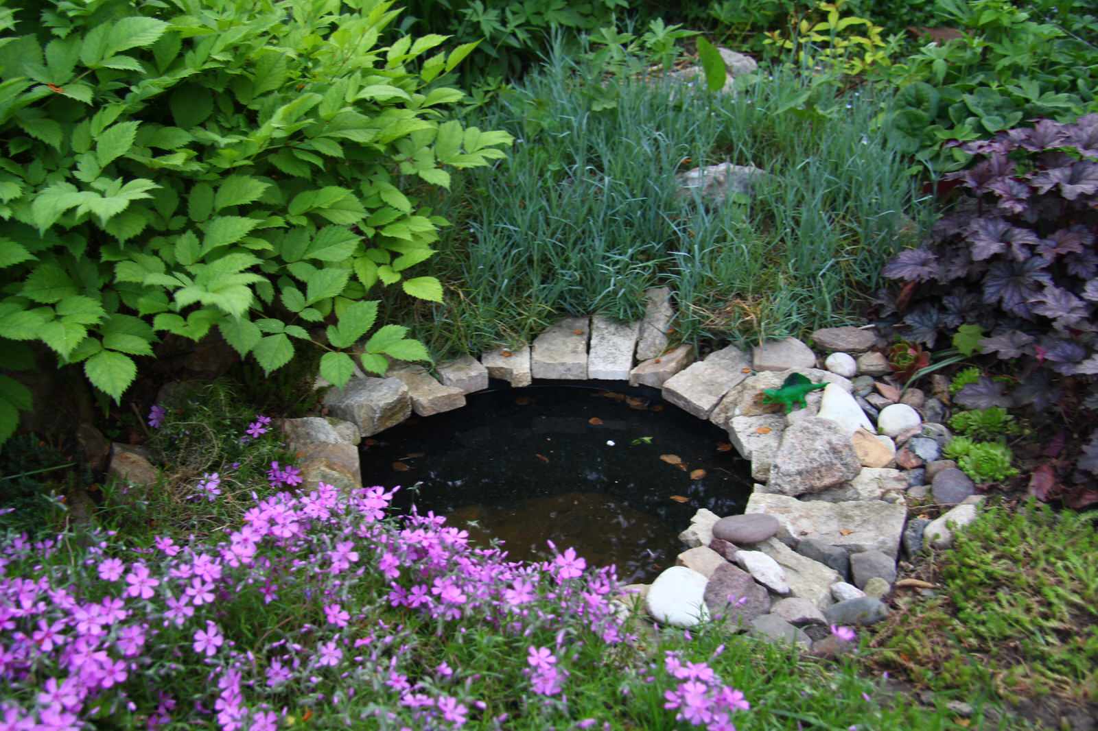 Обложка проекта: Наш сад / Our garden