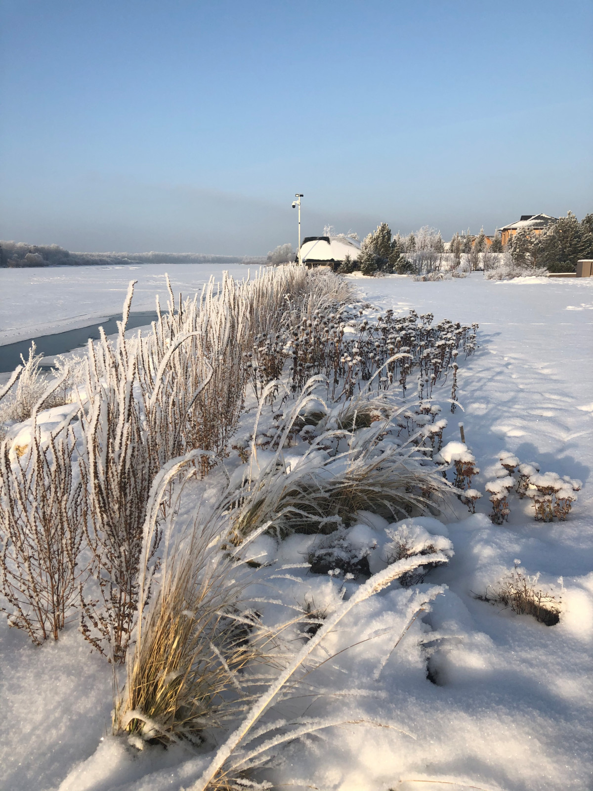 Сад Кроличья нора. Зима