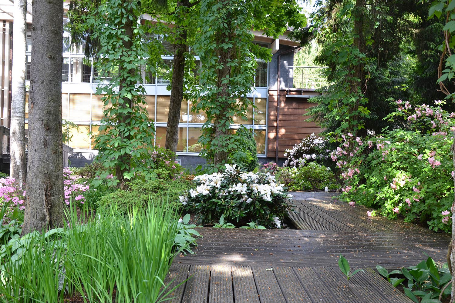 Сад с японским характером в КП Ландшафт