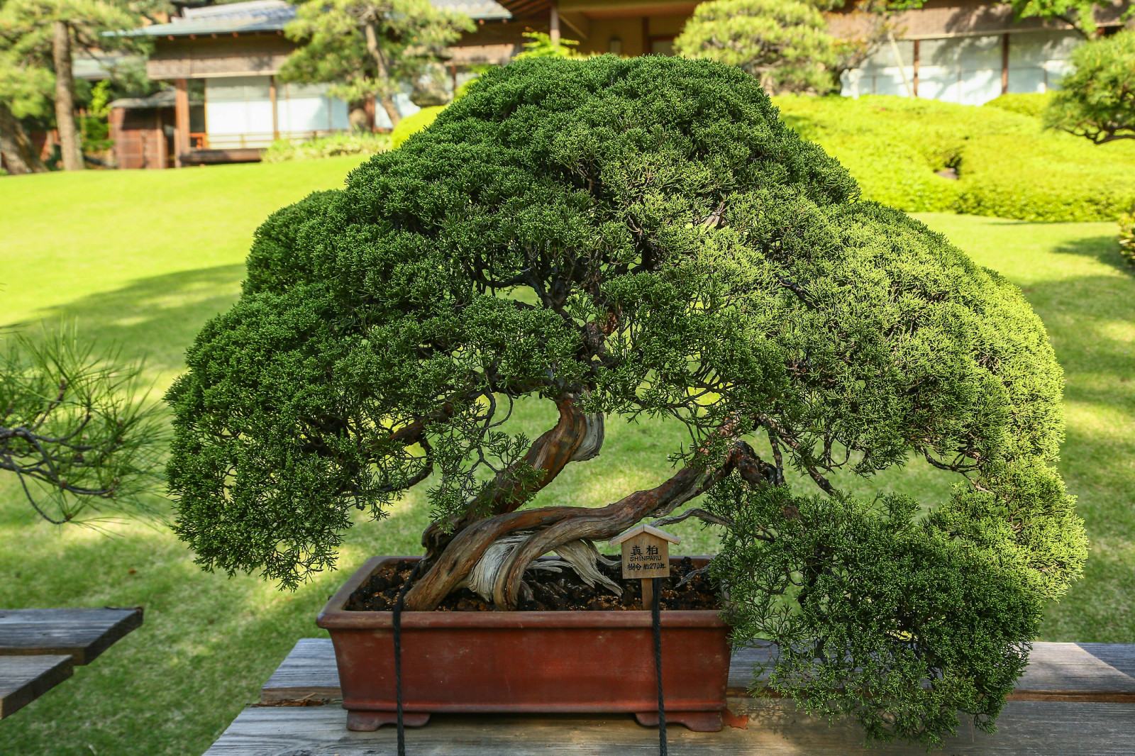 Исторический сад Happoen Garden, Tokyo, Japan