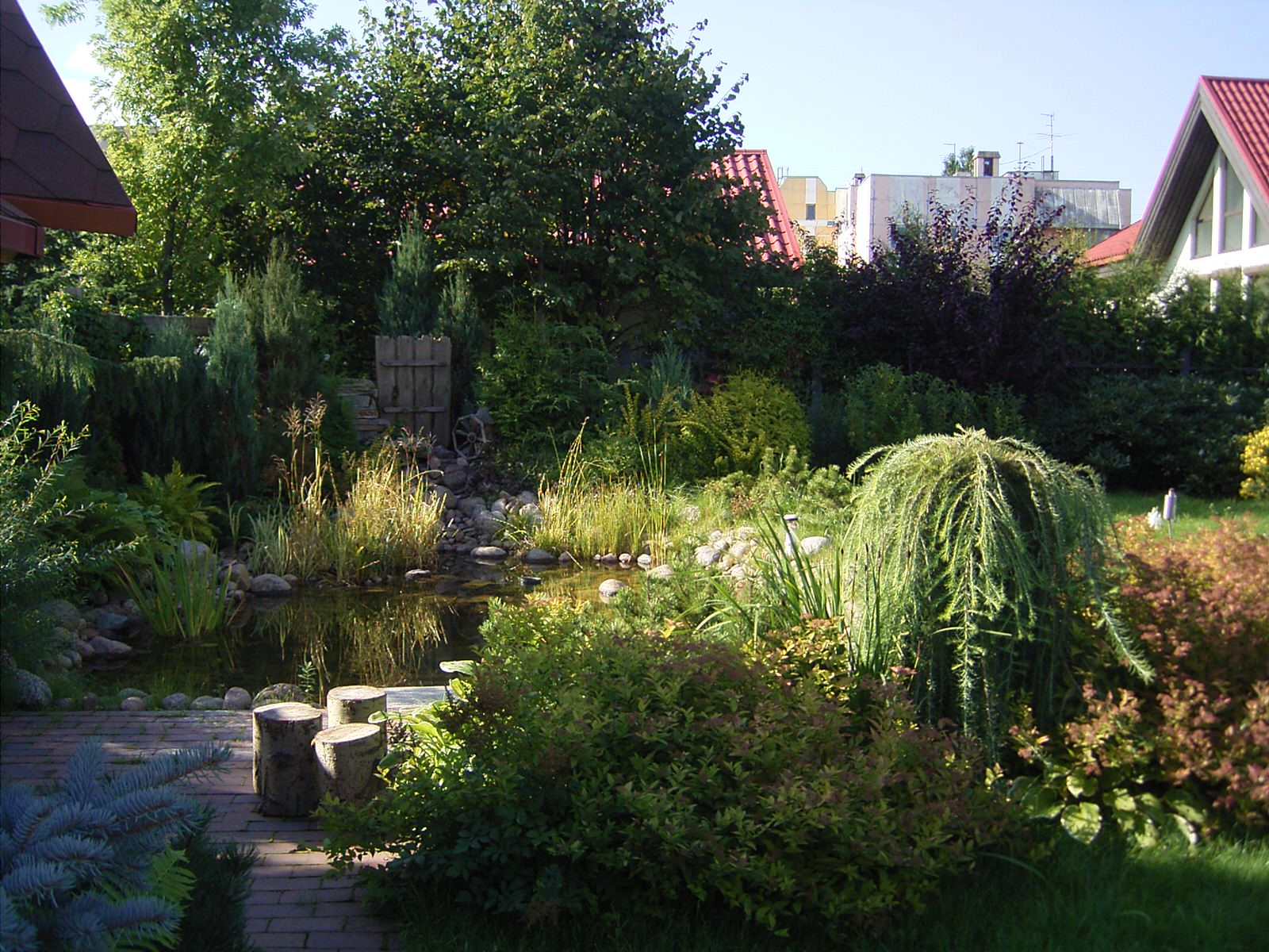 Обложка проекта: Дизайн участка в городской среде : таун-хауз в Коломягах