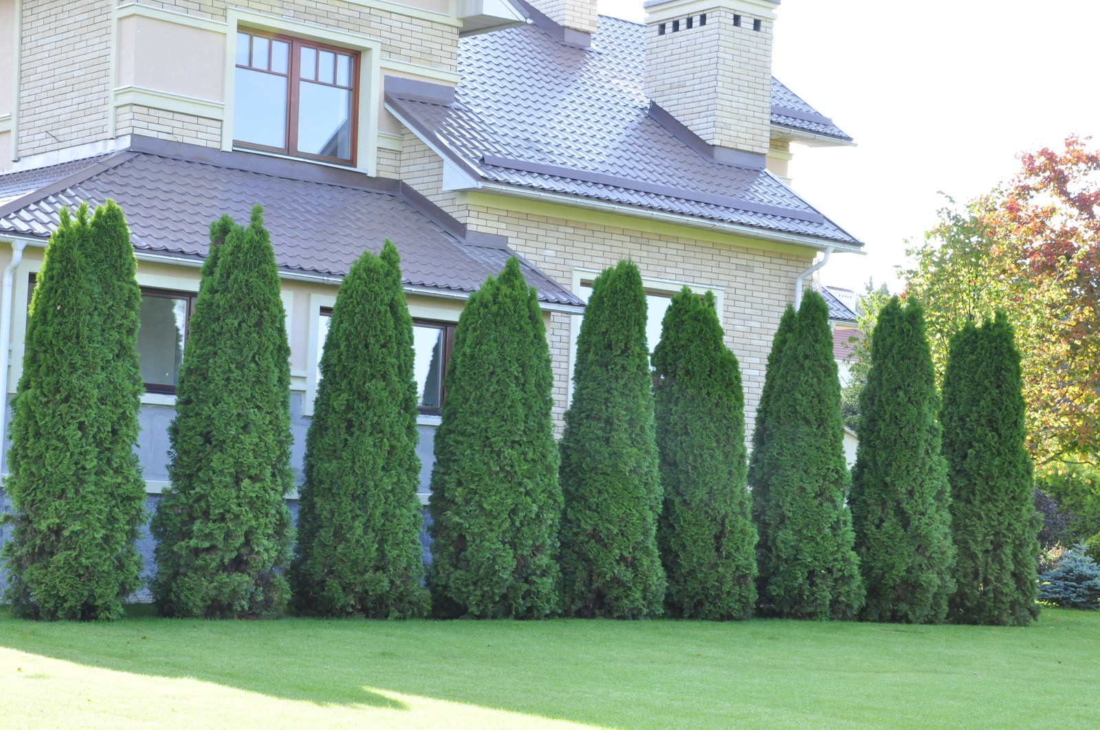 кп "Бенелюкс" - Уход за садом - 100% качество