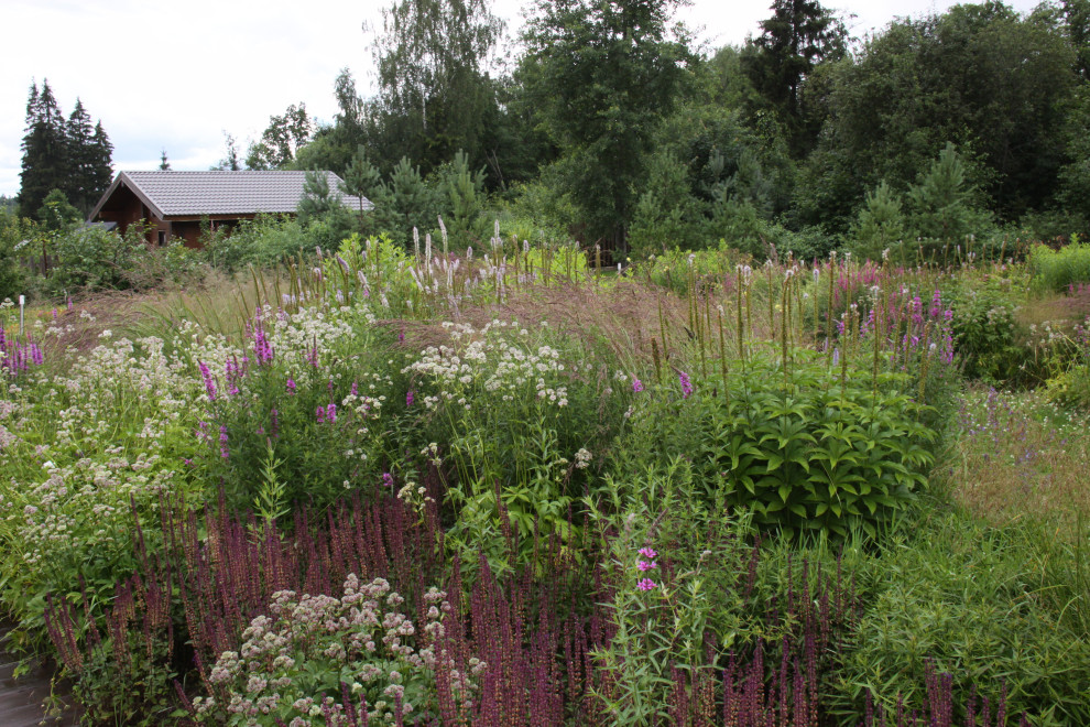 Сад "Три плюс два"