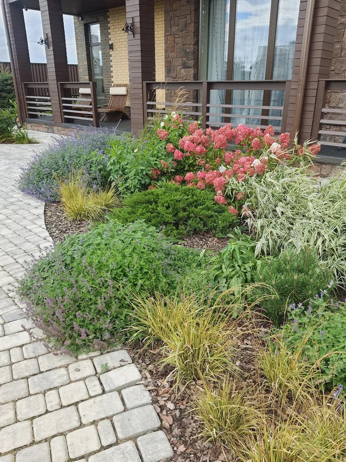 Обложка проекта: Тайцы