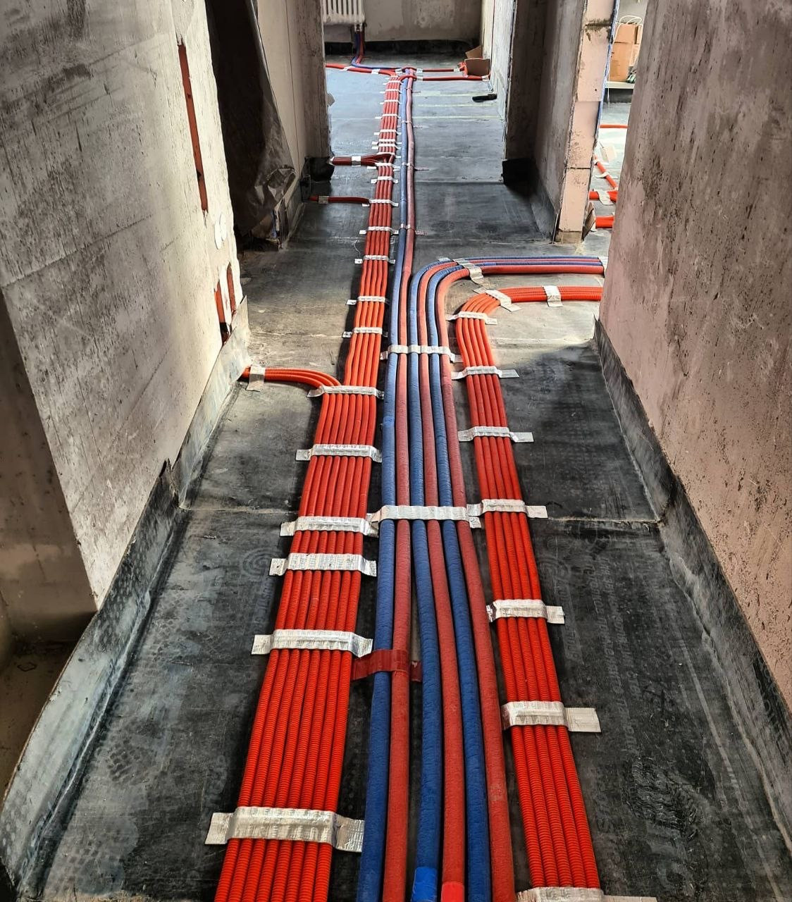 Дмитрий Картелян