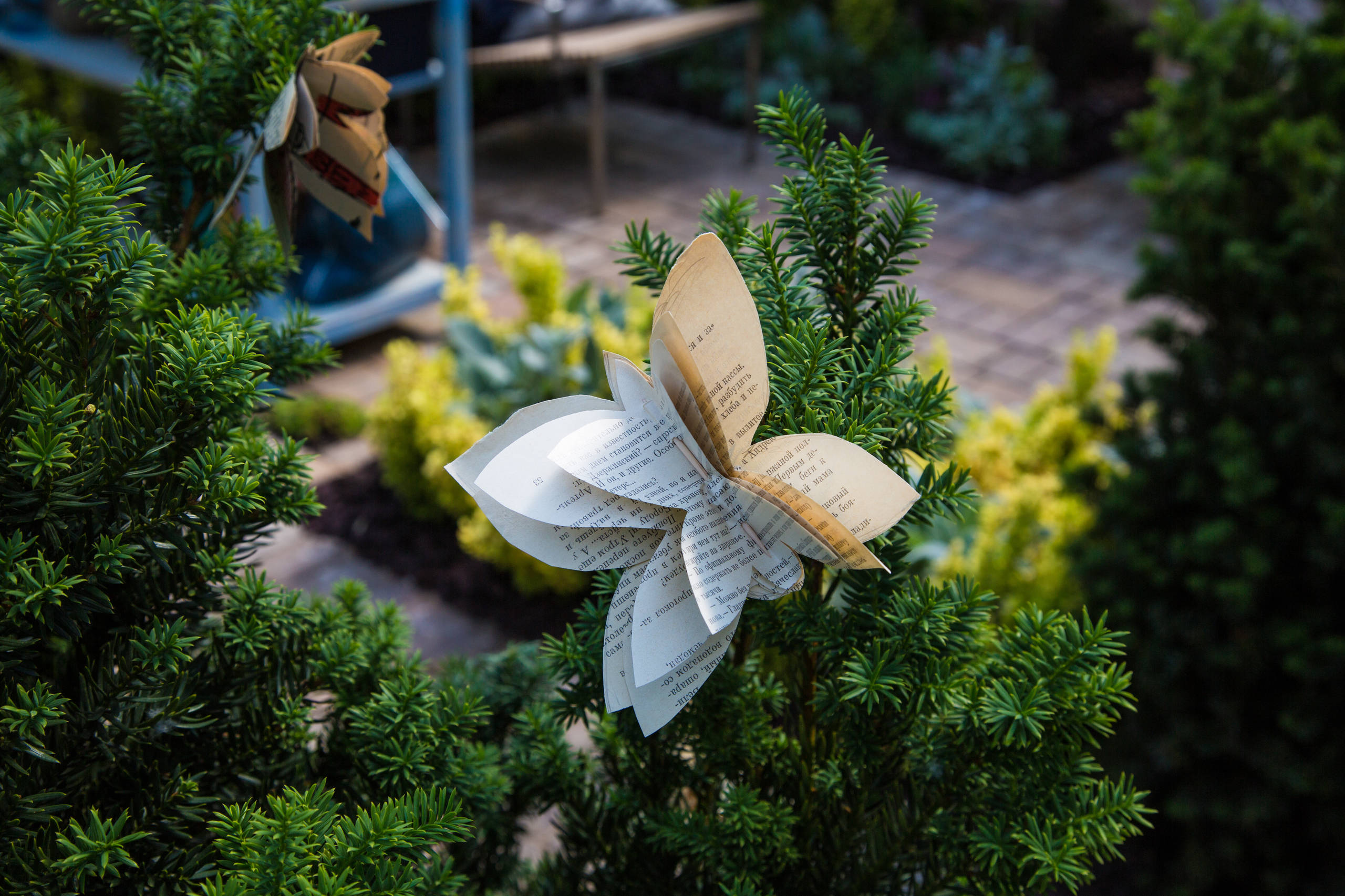 Выставки: Есть ли мода в ландшафтном дизайне