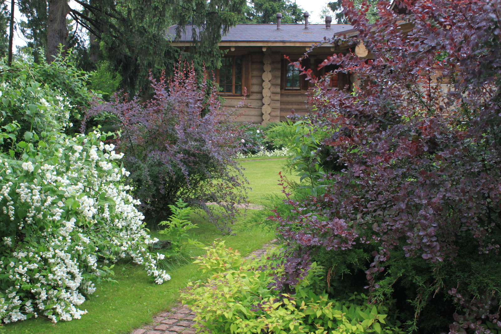 Лесная жизнь