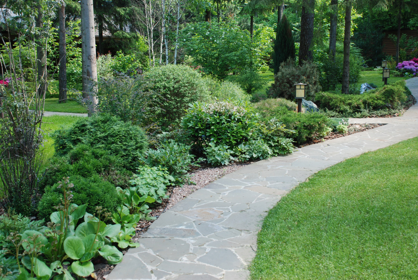 Лесной участок в КП "РИИТА"