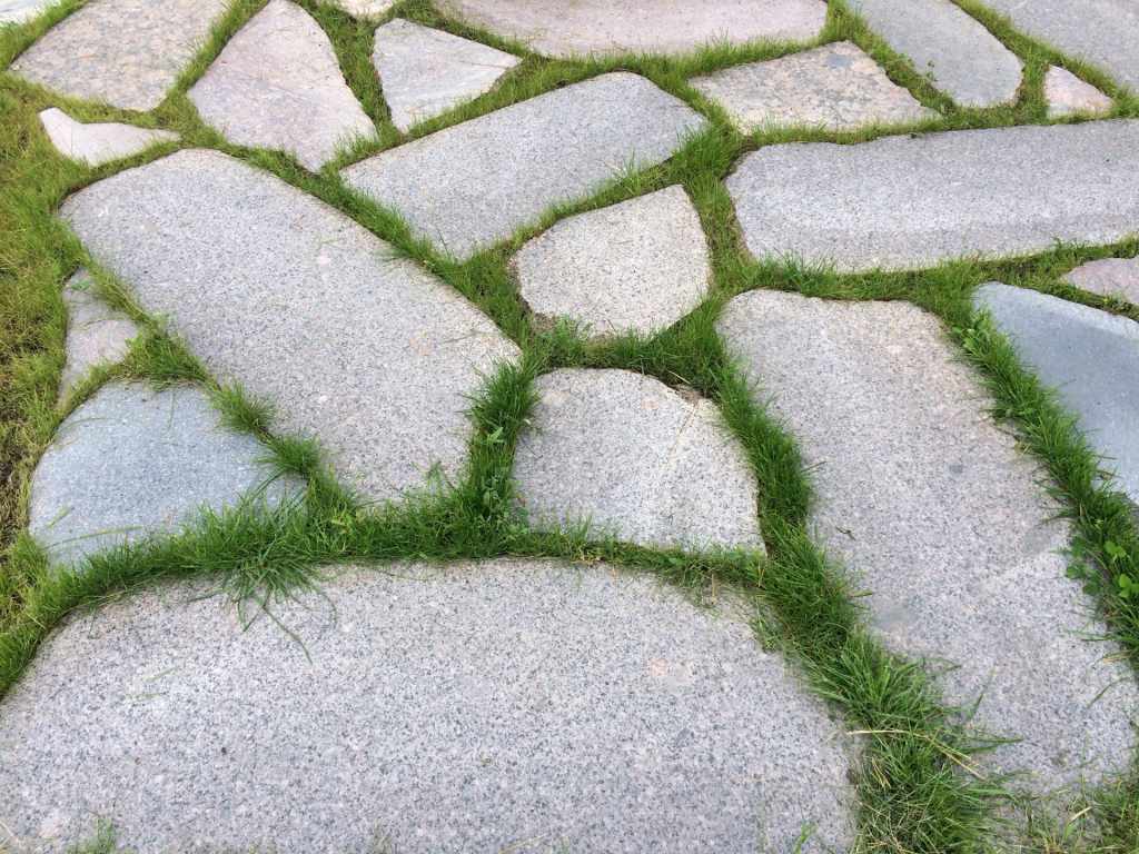 Обложка проекта: Озерешно