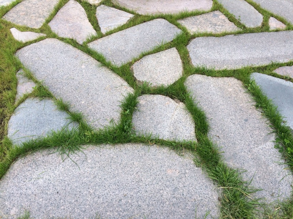 Обложка проекта: Озерешно