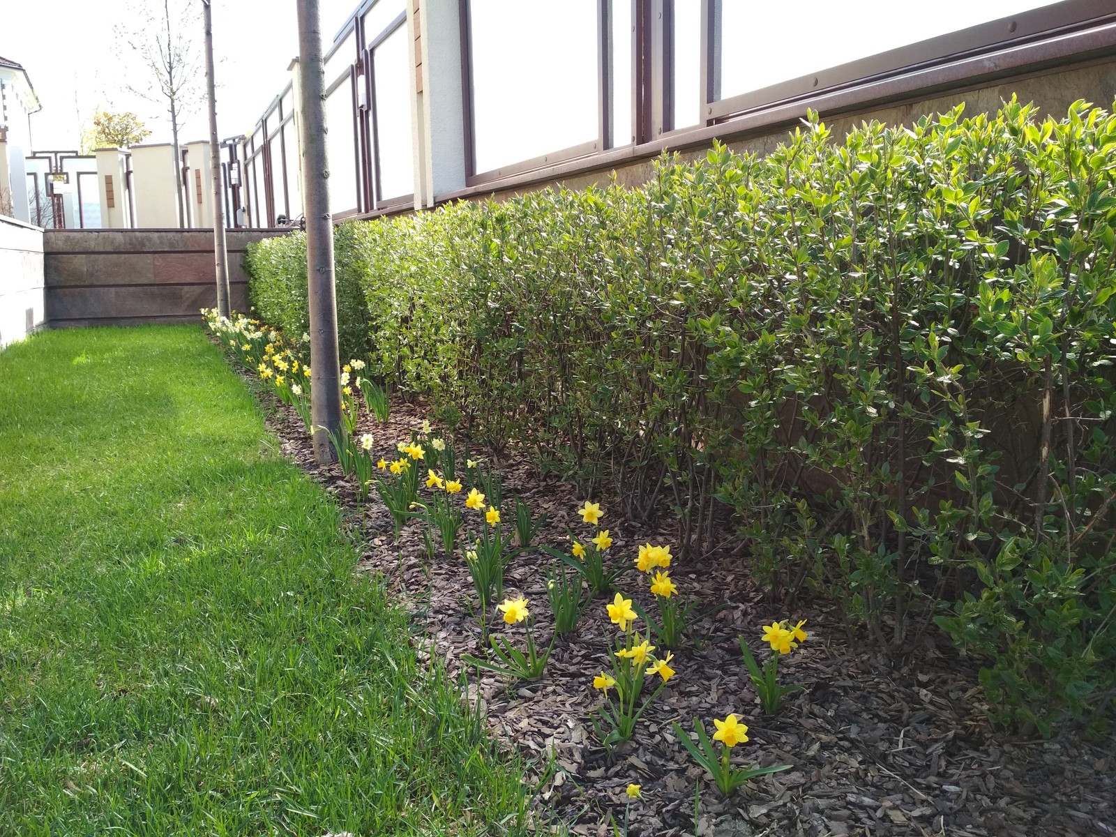 кп "Мартемьяново" - Профессиональный уход за садом - 100% качество!