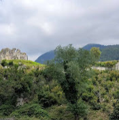 Любовь Сорока