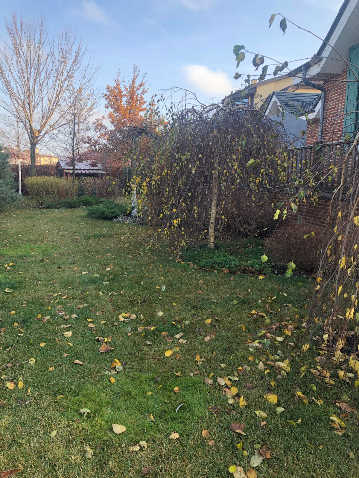 Обложка проекта: Белый сад в Мартемьяново