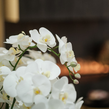 Обложка проекта: Мужское и женское