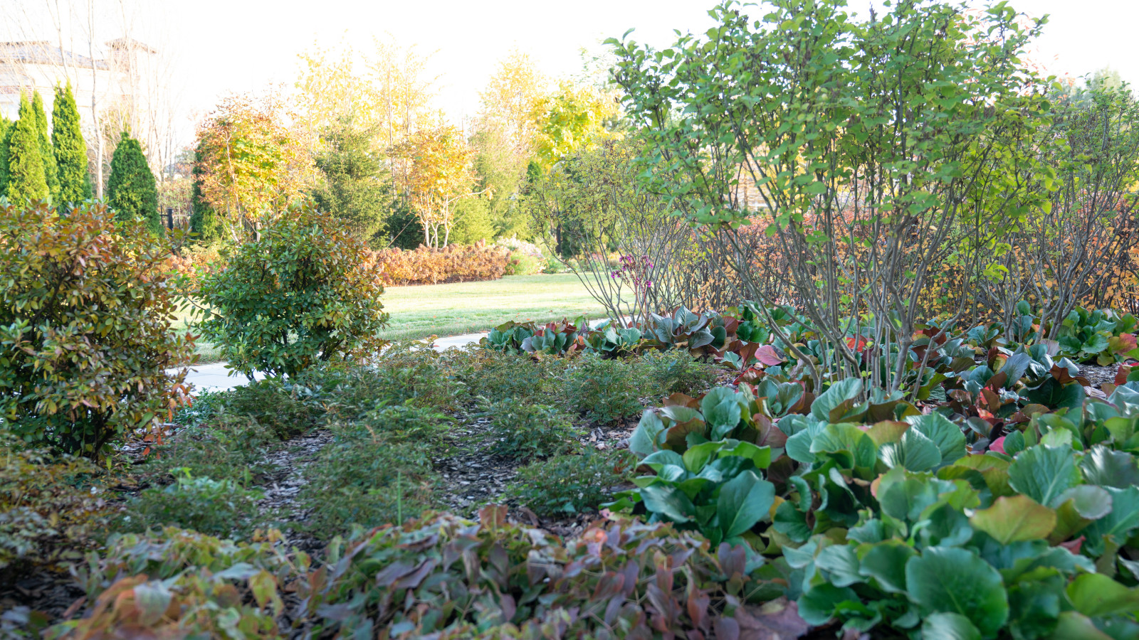 Английская неоклассика в КП Парквилл. 2019 г.