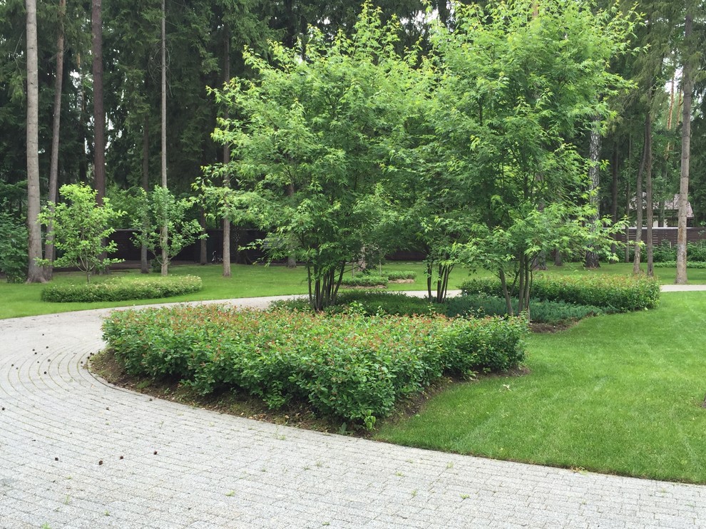 Сосновый бор