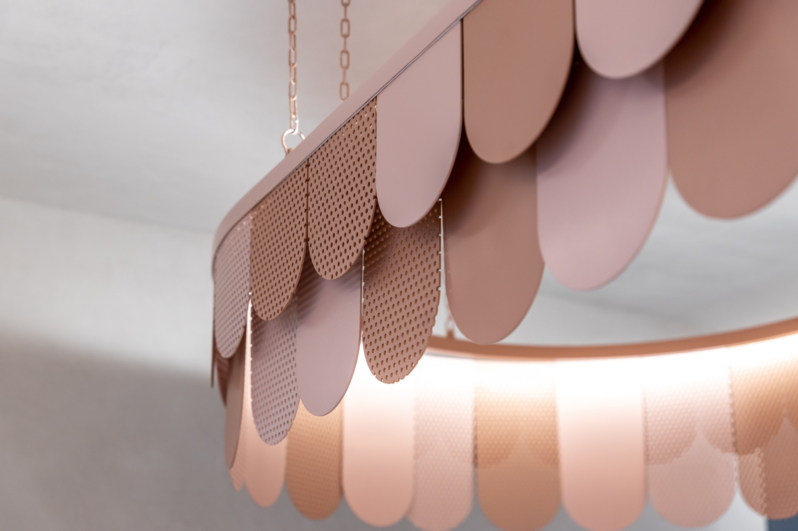 Тропическая кухня под цветком протеи