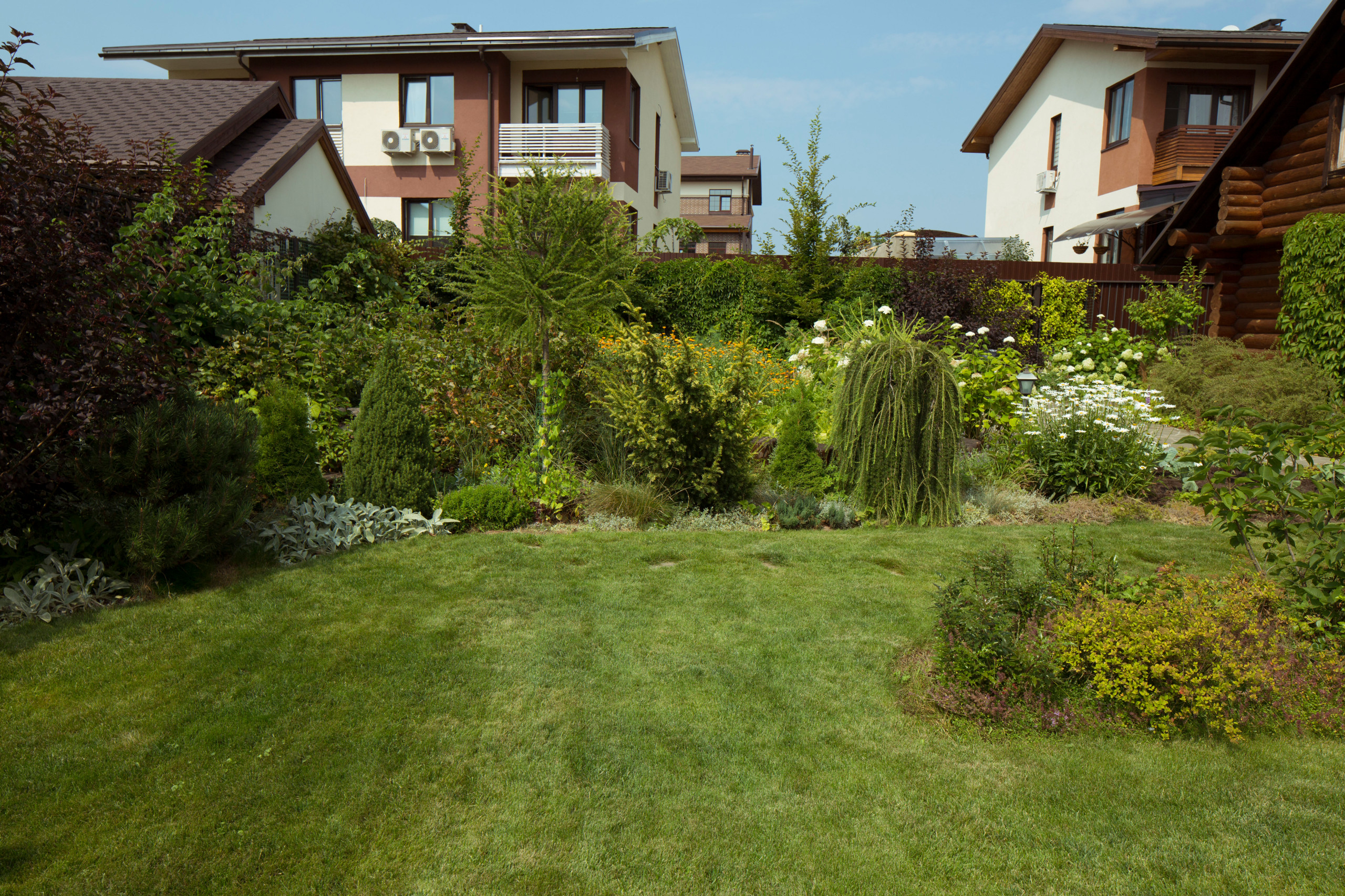 В гостях: Участок с фамильными дубами и баней в срубе