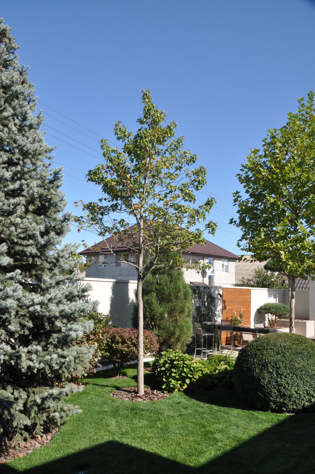 Private contemporary garden / Частный современный сад.