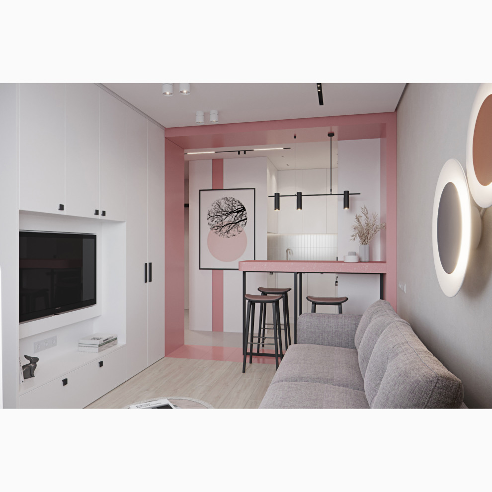 Обложка проекта: Квартира 33 м2. Санкт-Петербург, 2019 г.