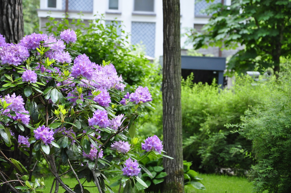 кп. "Архангельское" - Уход за садом - 100% качество!