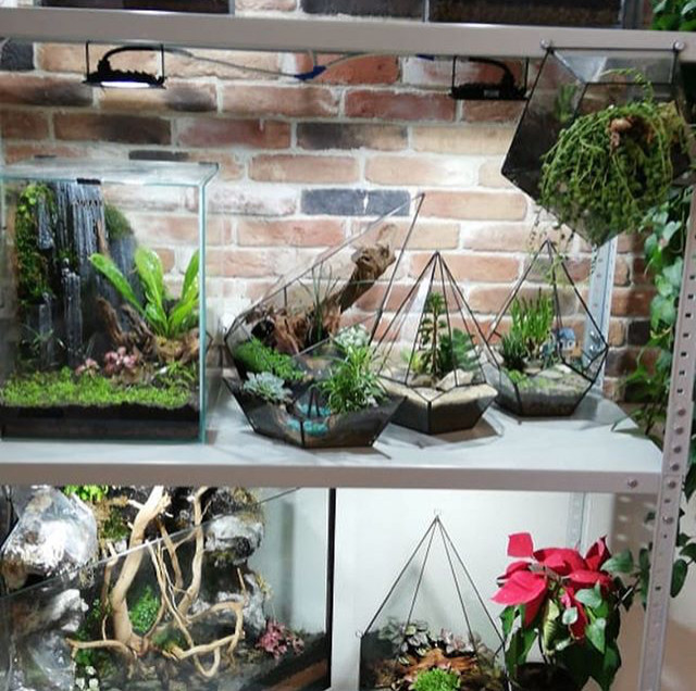 Обложка проекта: Прага - 906