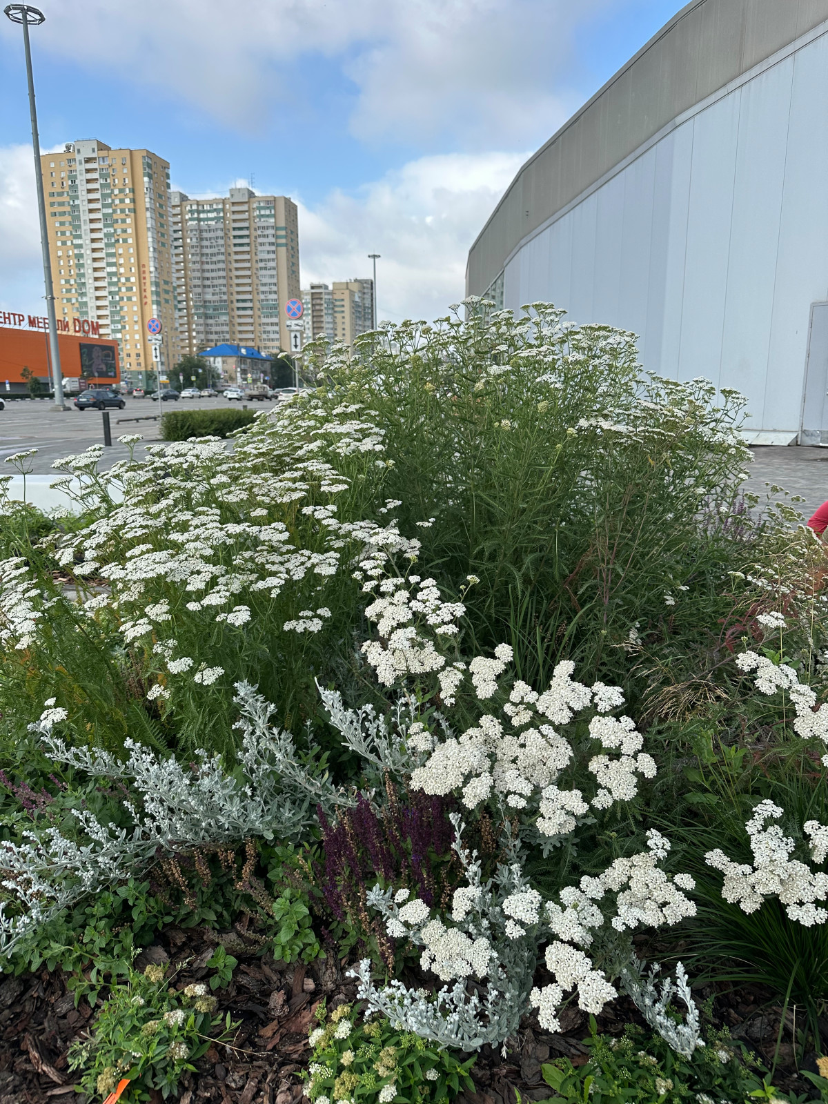 Благоустройство ландшафта торгового центра