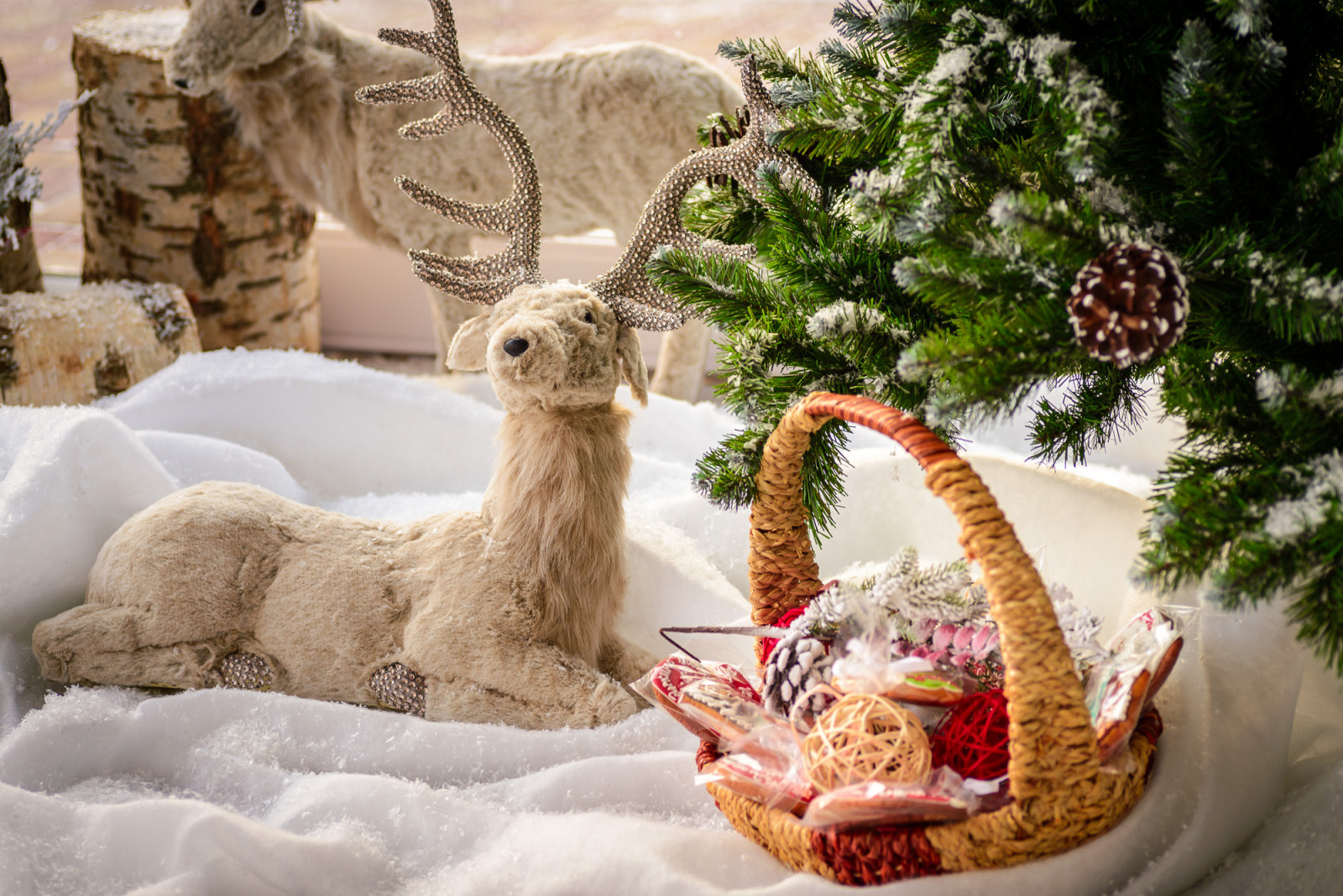 Этапы строительства. Федоскино Парк