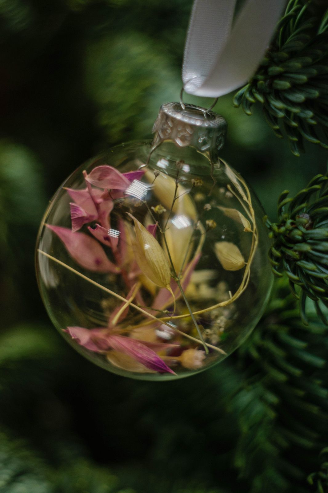 Стеклянный шар с сухоцветами