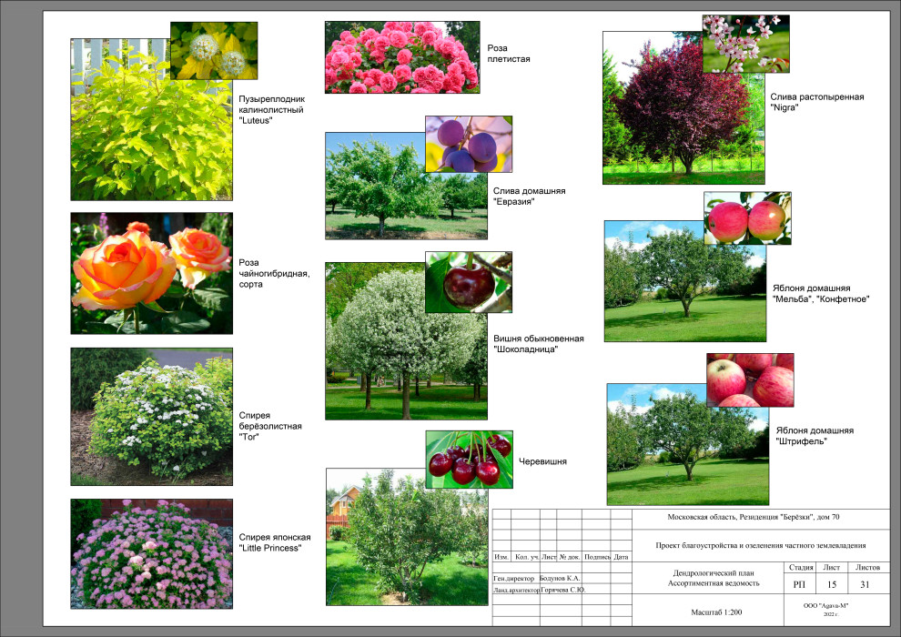 Резиденция Берёзки.