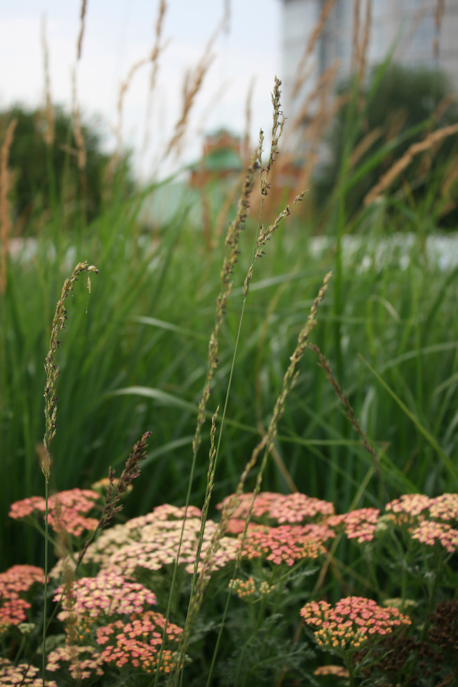 Цветники Советской площади