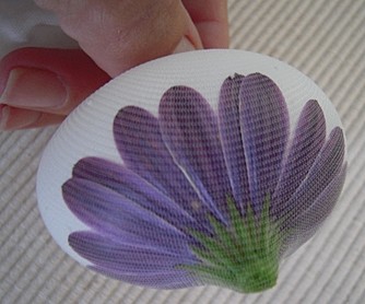 Своими руками: Пасхальные яйца, окрашенные ягодами и цветами