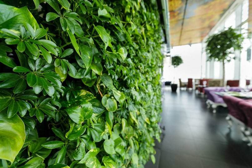 Корстон Казань